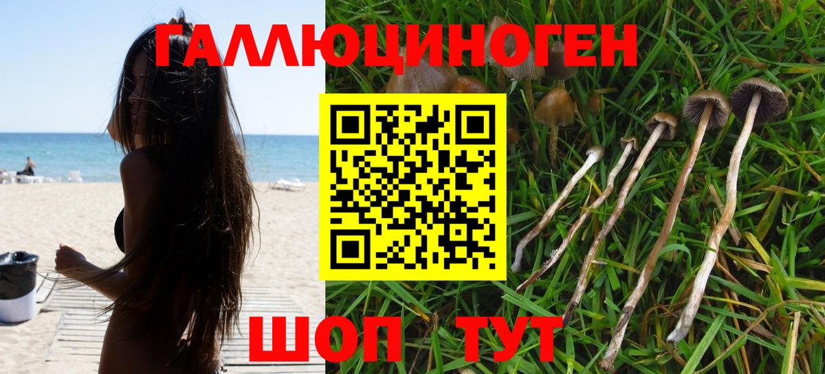 Псилоцибиновые грибы мицелий Воркута