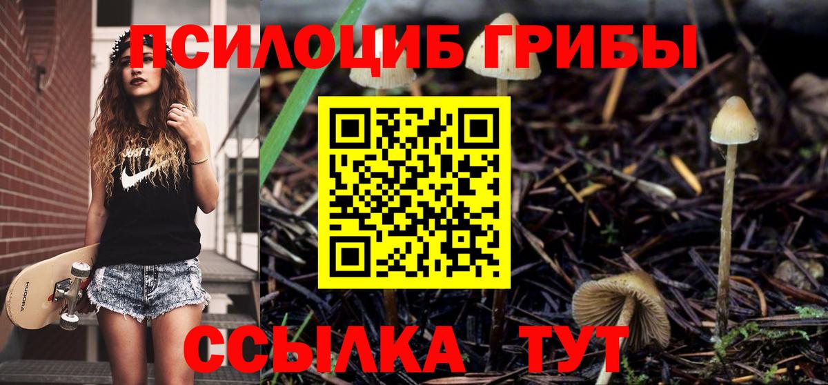 Псилоцибиновые грибы Psilocybe  Вход с VPN  Воркута 